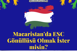 ESC095-Communication & Social Media in a Youth NGO in Budapest