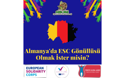 ESC048-Diversity instead of simplicity - volunteering in Germany