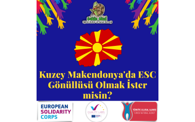 ESC052 - Supporting social inclusion and disabilities on local level